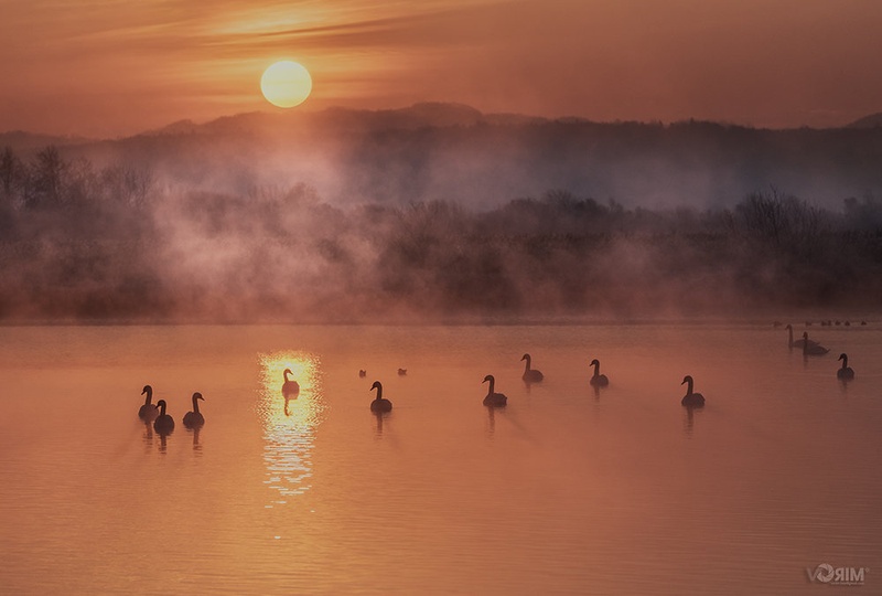 Jutro na ribniku by MiroV