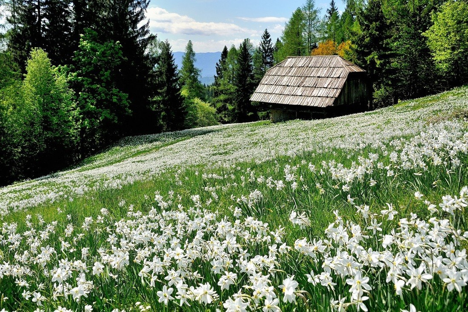 Ključavnice by Simon Krejan