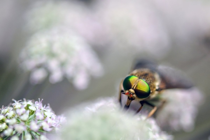 Pogled by Simon Krejan