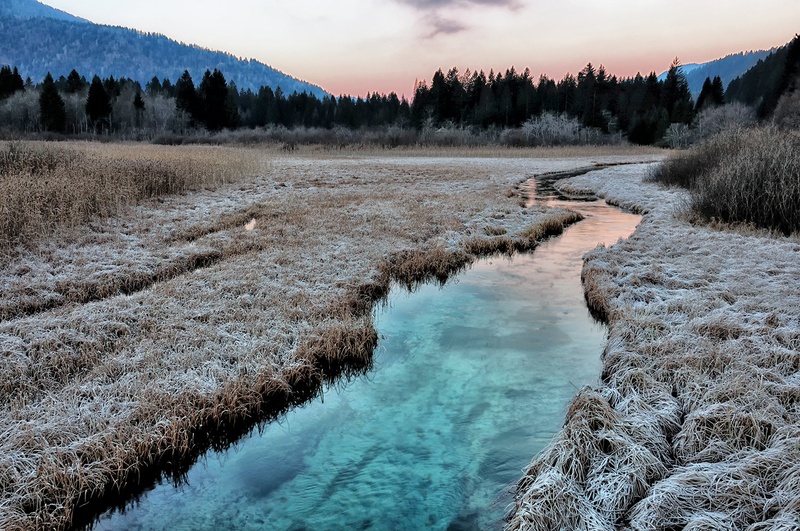 Zelenci se prebujajo v mrzlo jutro by Simon Krejan