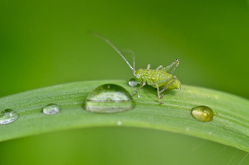 Big as a droplet by Medicius