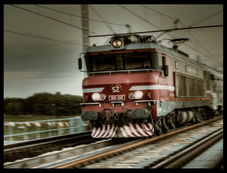 The Train by Vesna Ferlič