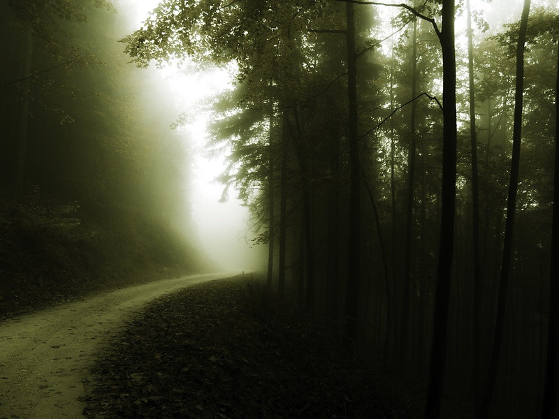 The fog by Vesna Ferlič
