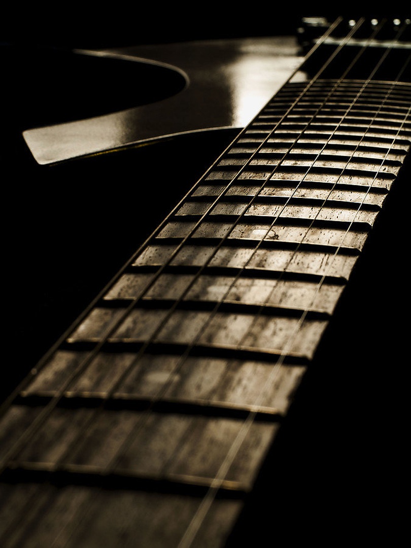 Silver Guitar by Vesna Ferlič