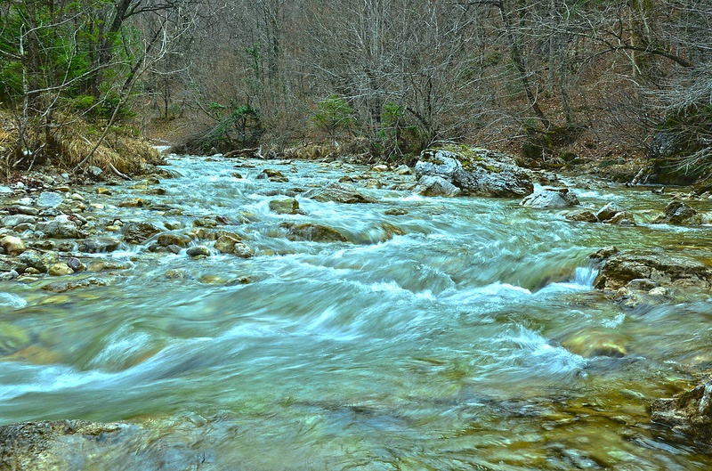 Iški vintgar by Tadeusz