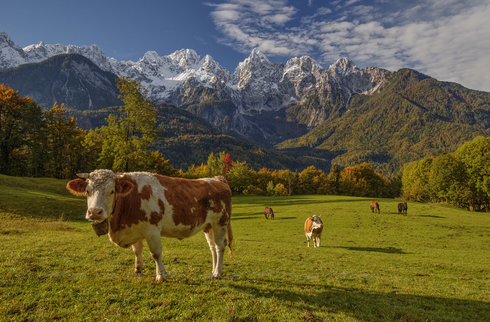 Rajski pašnik by Aleš Frelih