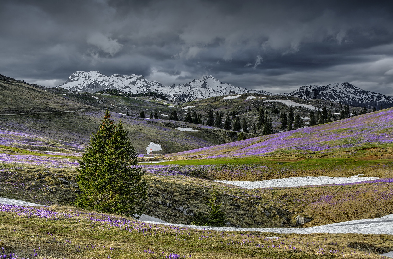 Velika planina v spomladanskih barvah by Aleš Frelih