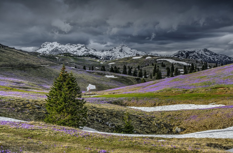 Velika planina v spomladanskih barvah by Aleš Frelih