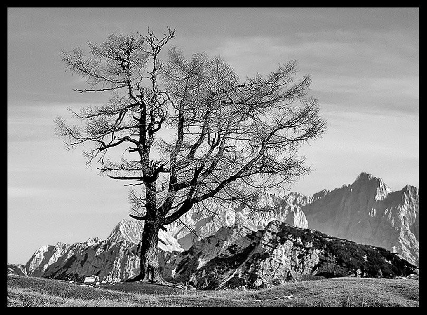 Osamljen by