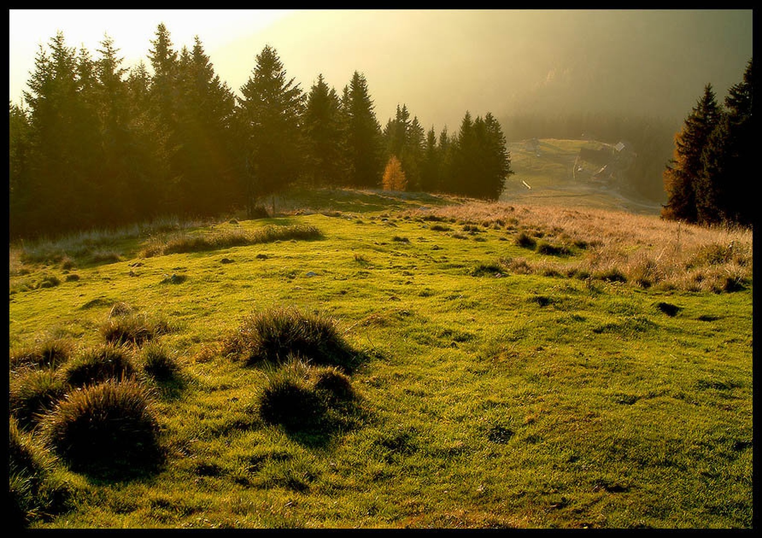...Ženiklovec... by
