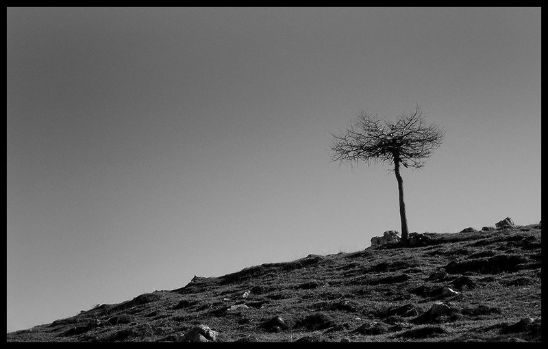 Simplicity of nature by Schatzi