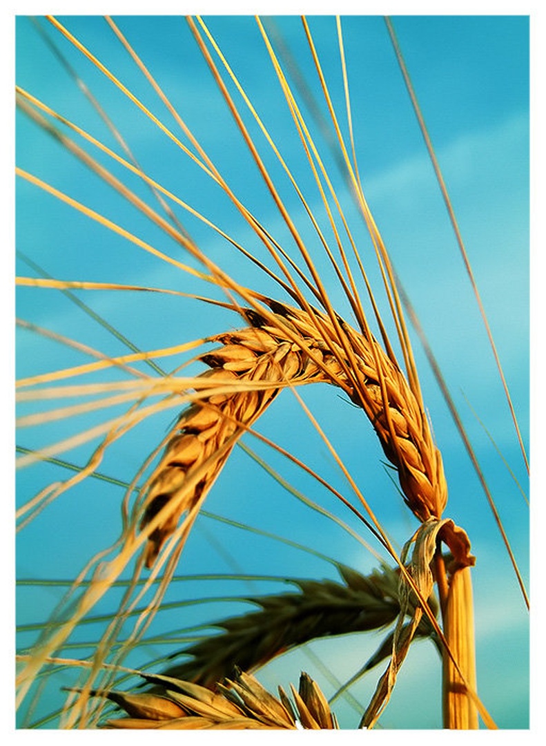 V nebo by