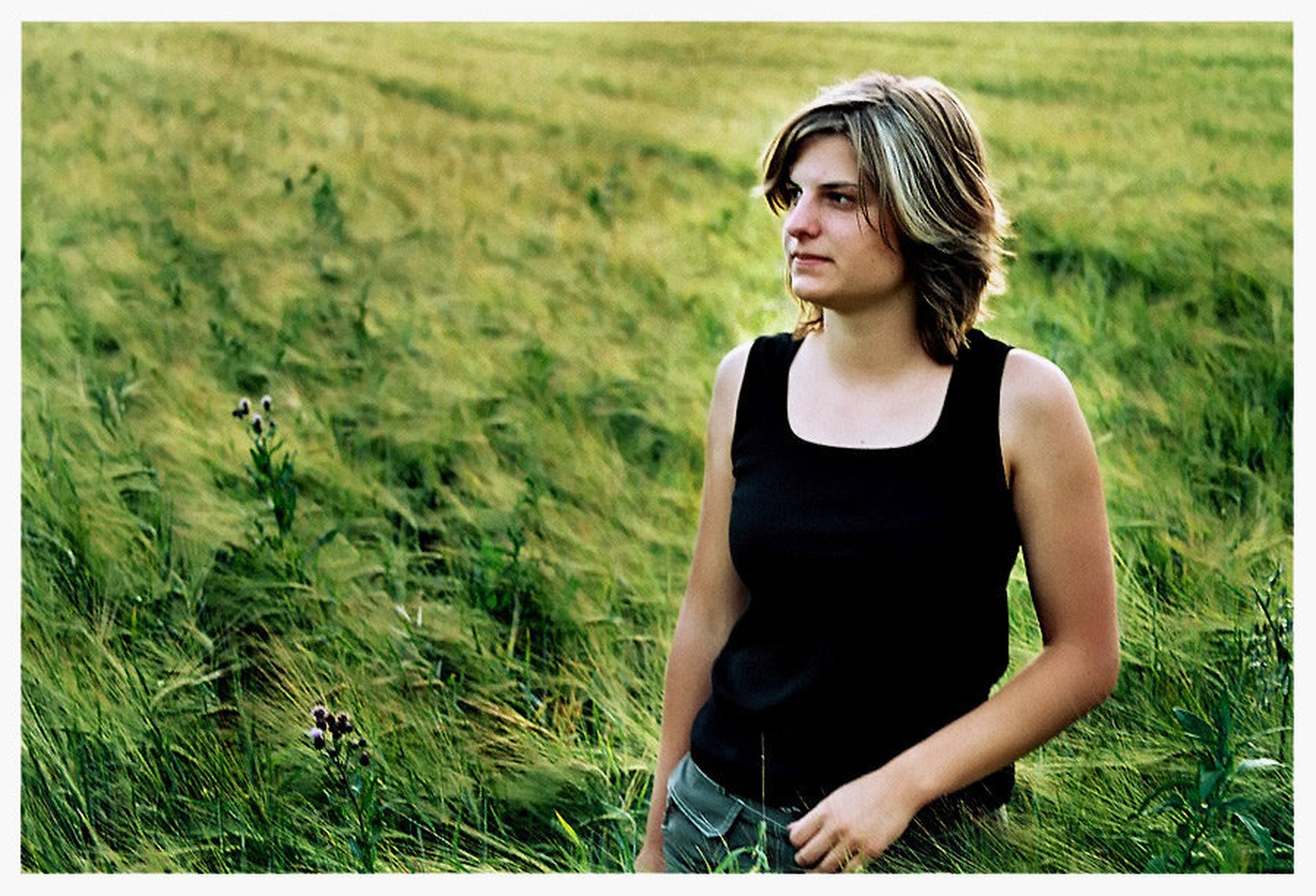 Polja sanj by