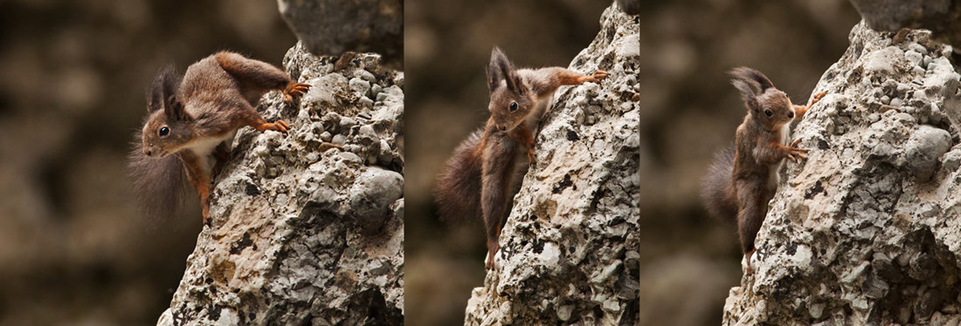 Cliffhanger by Alen LACIJAN