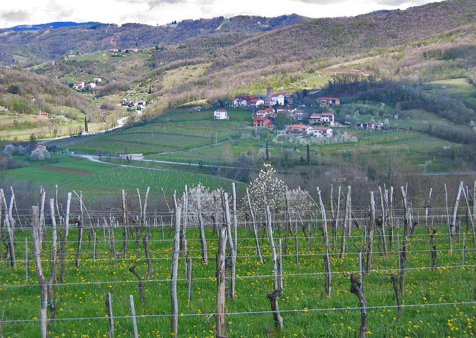 Vinograd by Leopold Gril