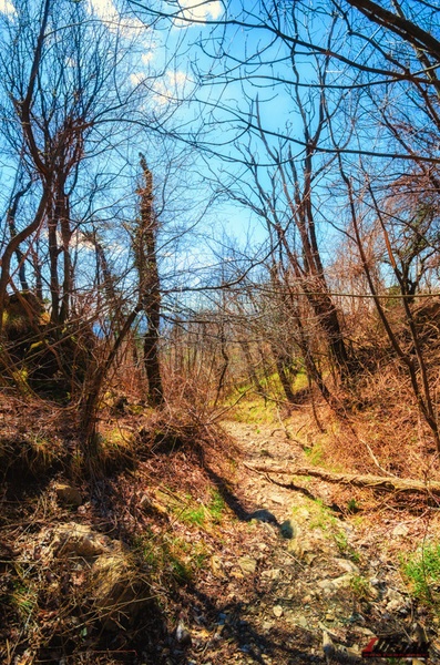 Po tej poti sem prišel by Dejan Ipavec