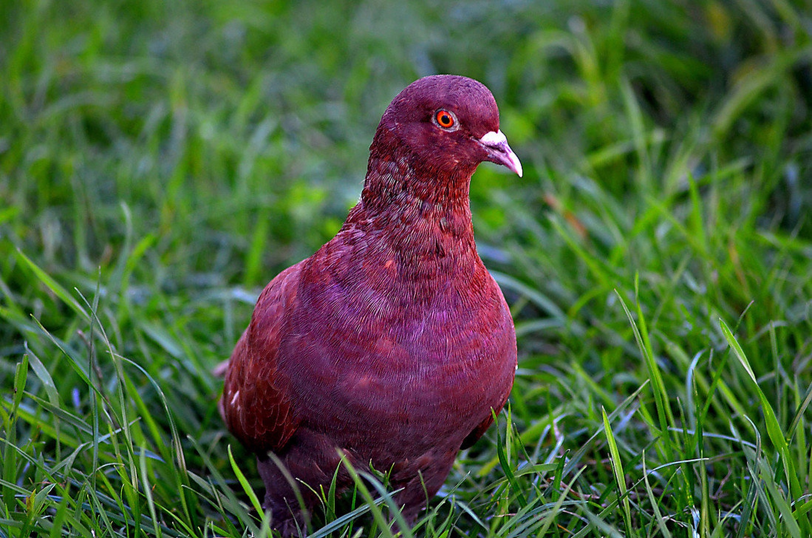 poseben by martinapodkrižnik