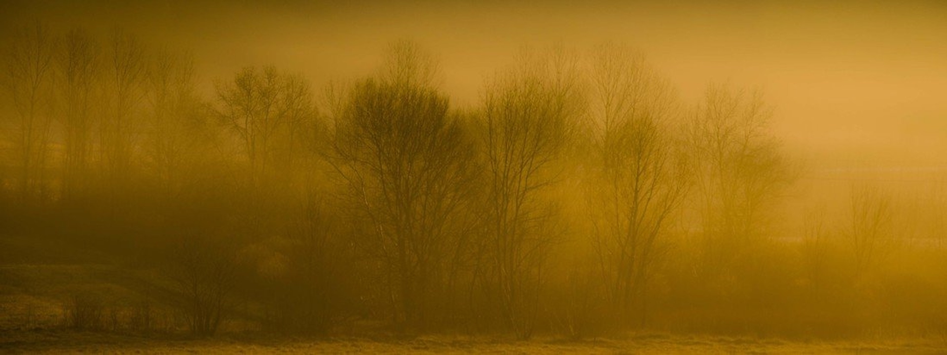 Morning fog by Igor Jerman