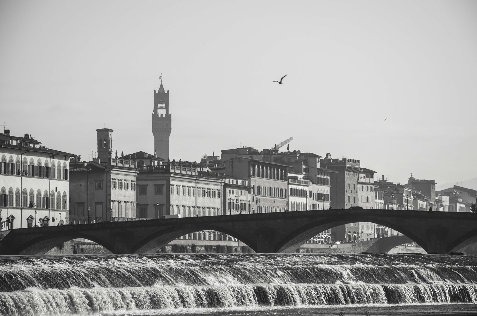 Ponte alla Carraia by Igor Jerman