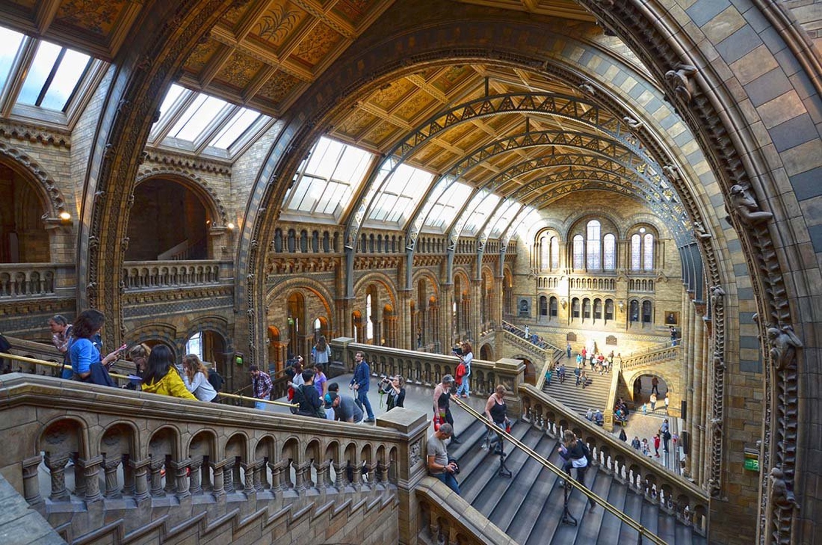 Natural History Museum by Igor Jerman