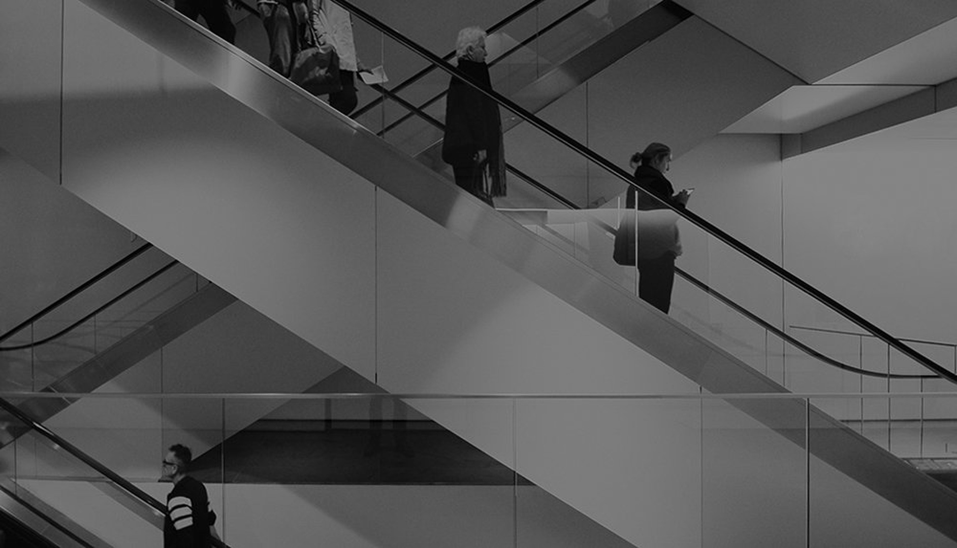 MOMA by Igor Jerman