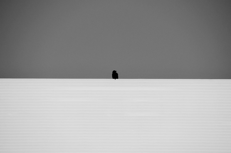 Črnobeli svet by Igor Jerman