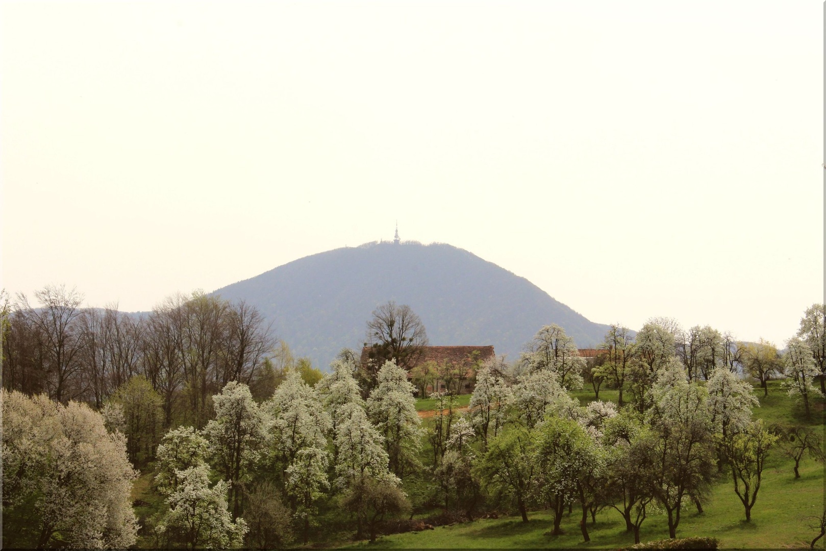 Boč by Daniela
