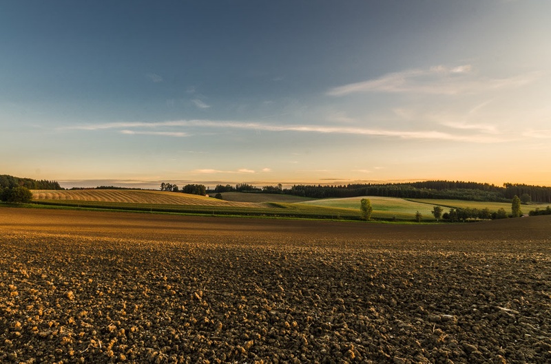 Harvested&plowed by Tadej Kreže