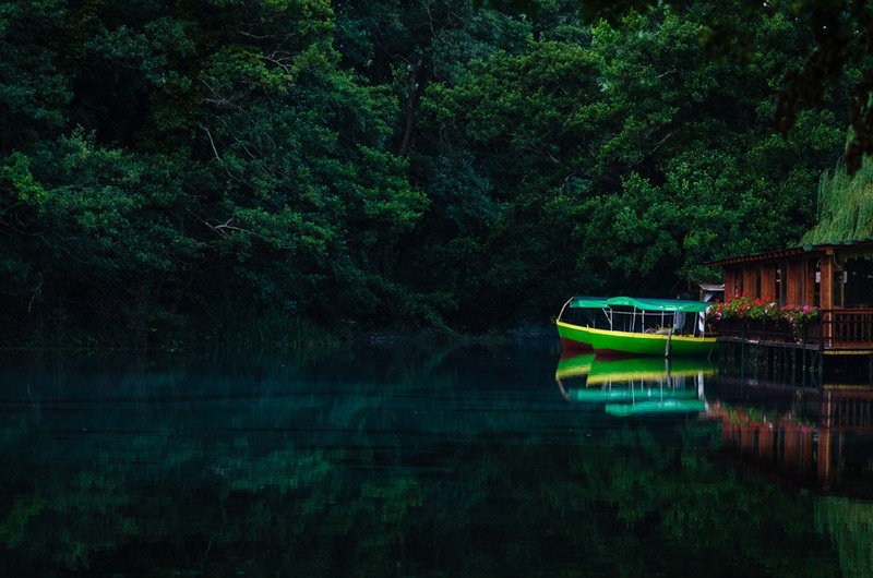 Boats by Tadej Kreže