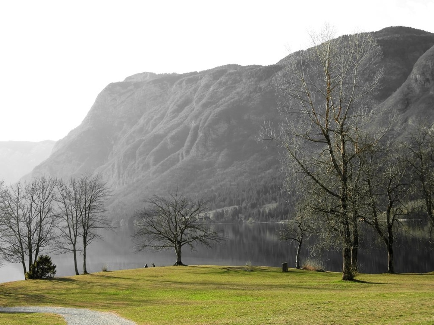 Bohinjsko jezero by Anteja
