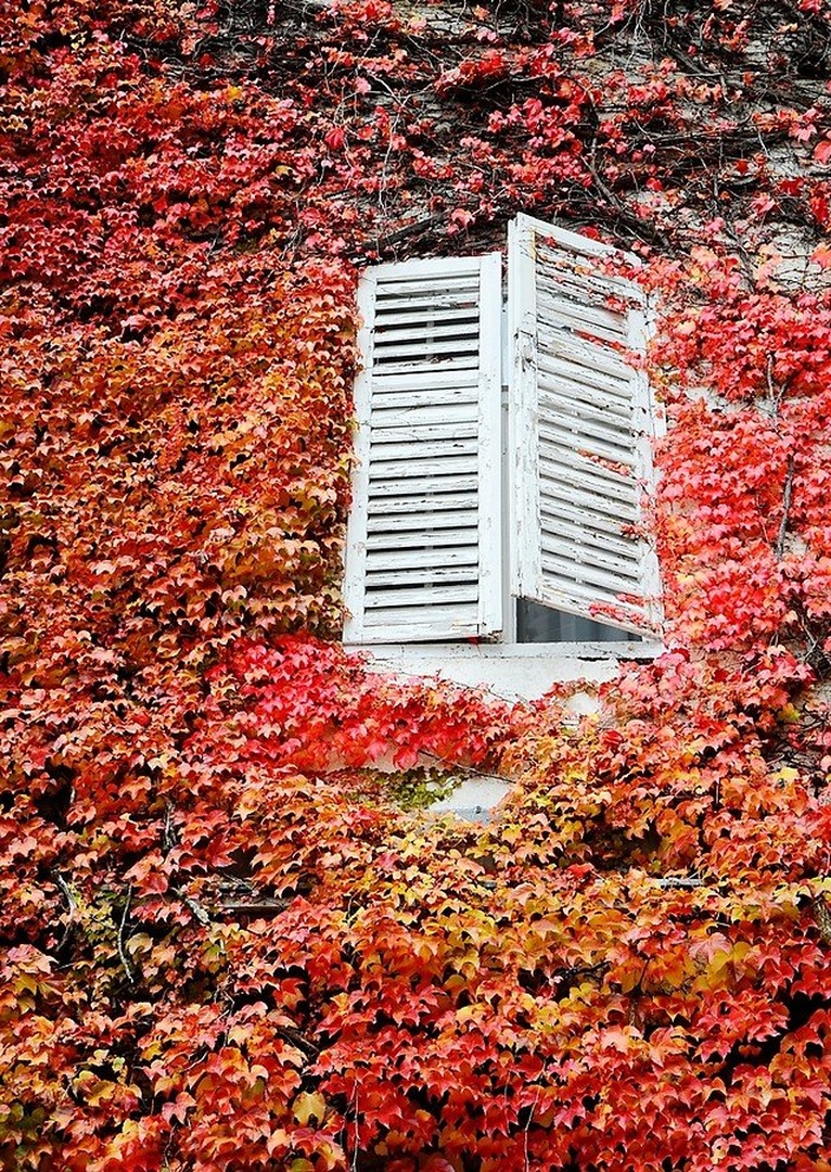 fairytale window by Anteja