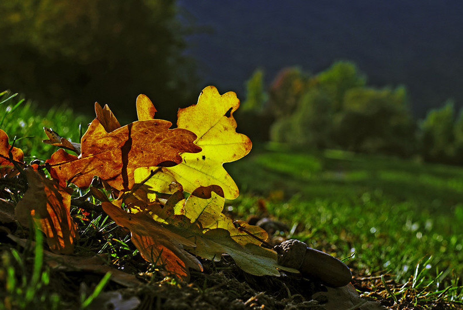 Jesen... by