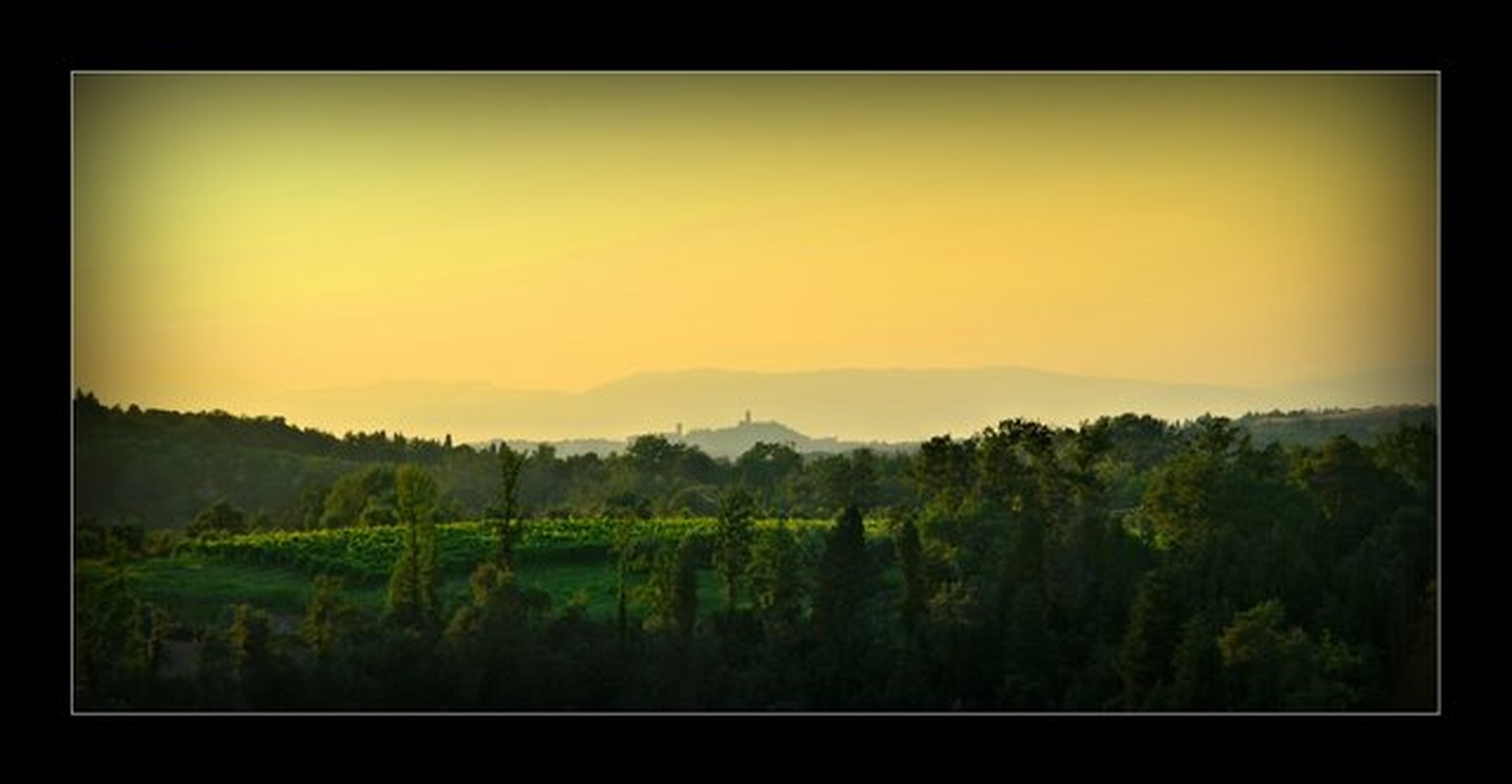 Vzhod by