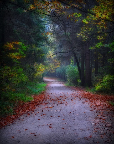 Jesen by staneC