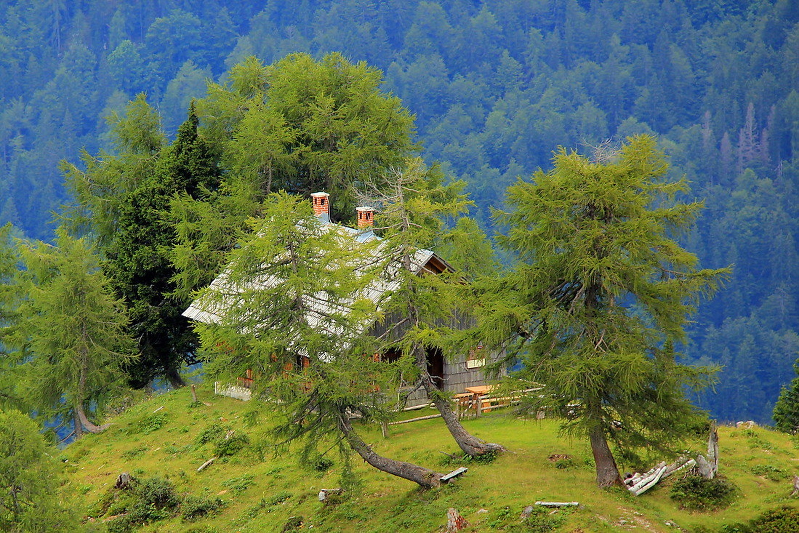 hišica na koncu by andrej ranfl