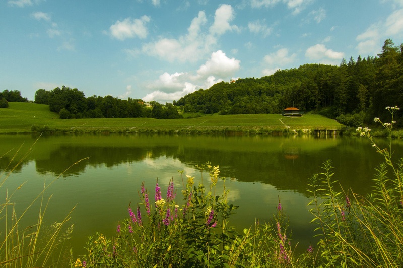 Jezero by Damijan