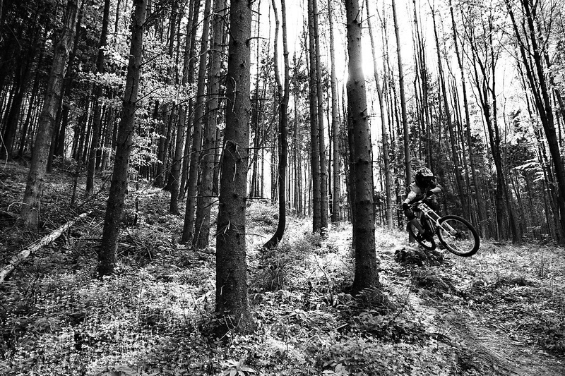 Forest rider by Boštjan Gartnar