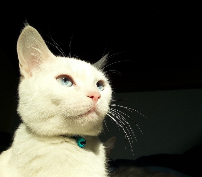 Modra by Cloud