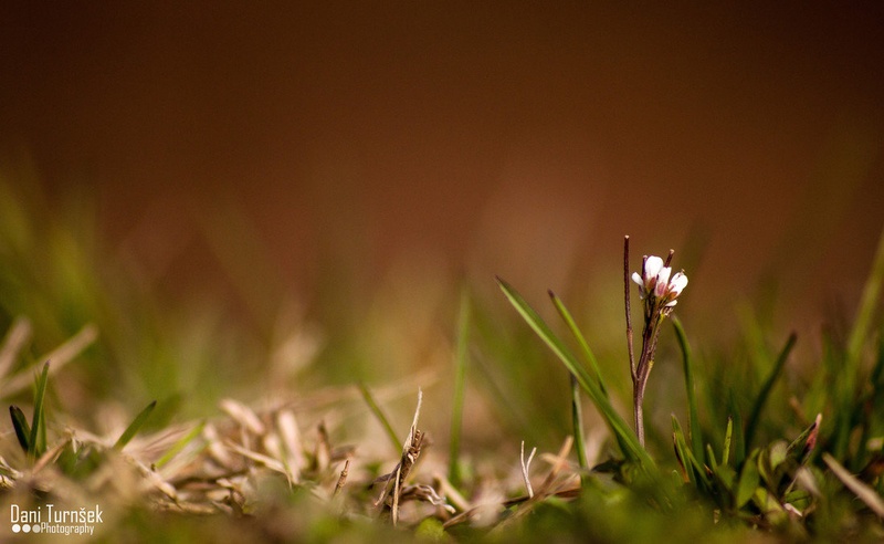 ''One and only'' by Danijel Turnšek