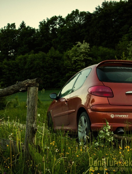 Peugeot 206 by Danijel Turnšek