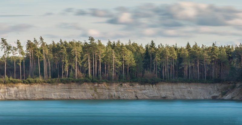 Trees... by Danijel Turnšek