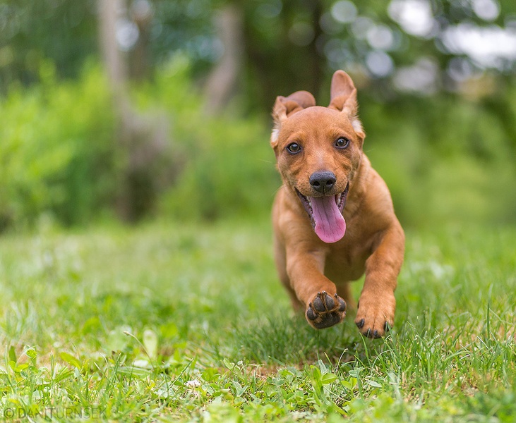 Happy... by Danijel Turnšek