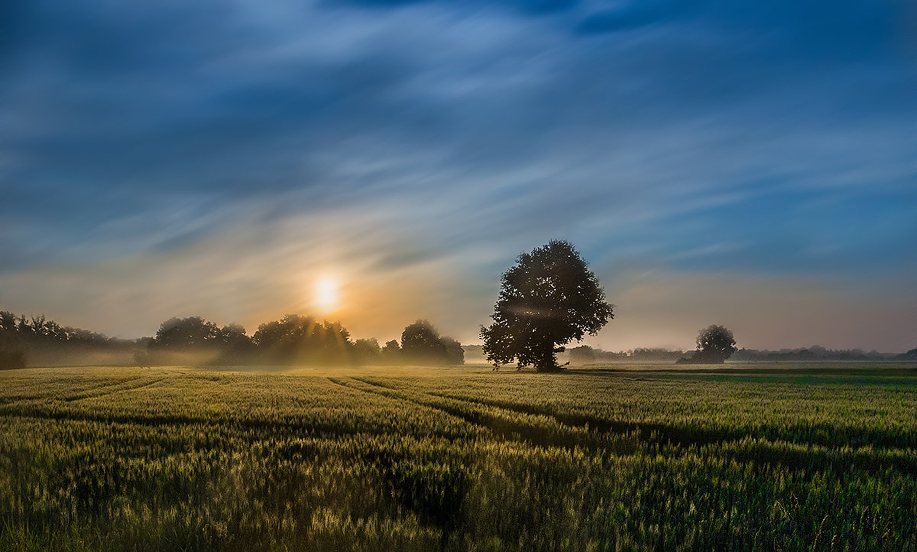 Jutro... by Danijel Turnšek