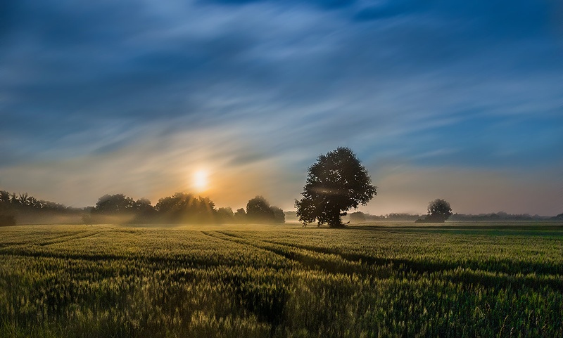 Jutro... by Danijel Turnšek