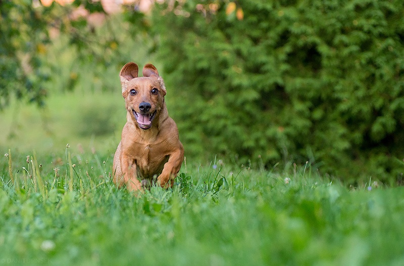 Happy... by Danijel Turnšek