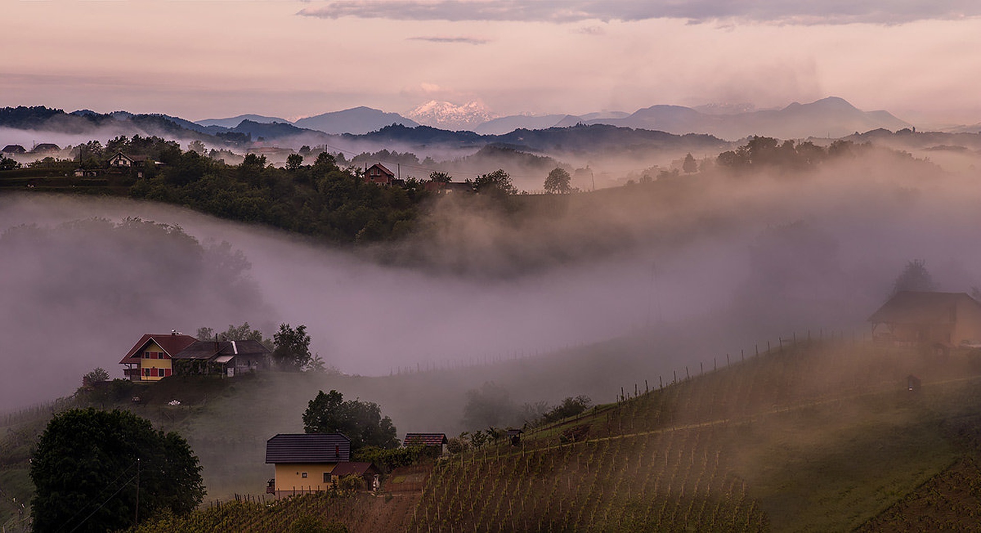 Foggy... by Danijel Turnšek