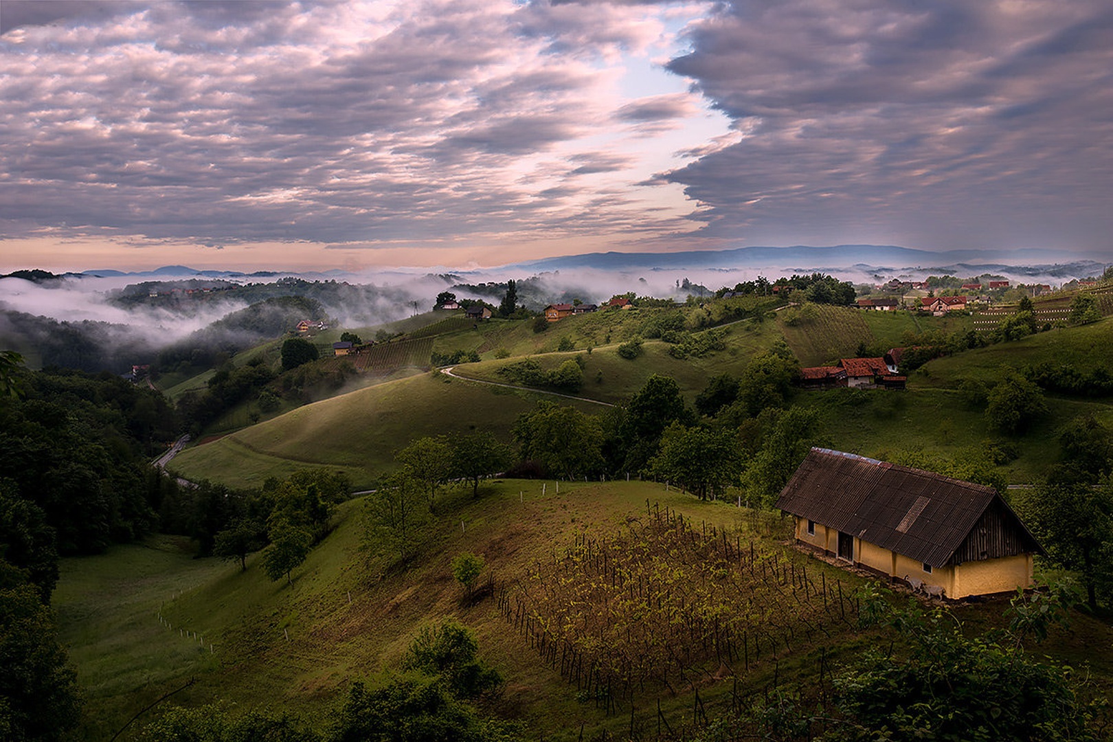 Jutro... by Danijel Turnšek