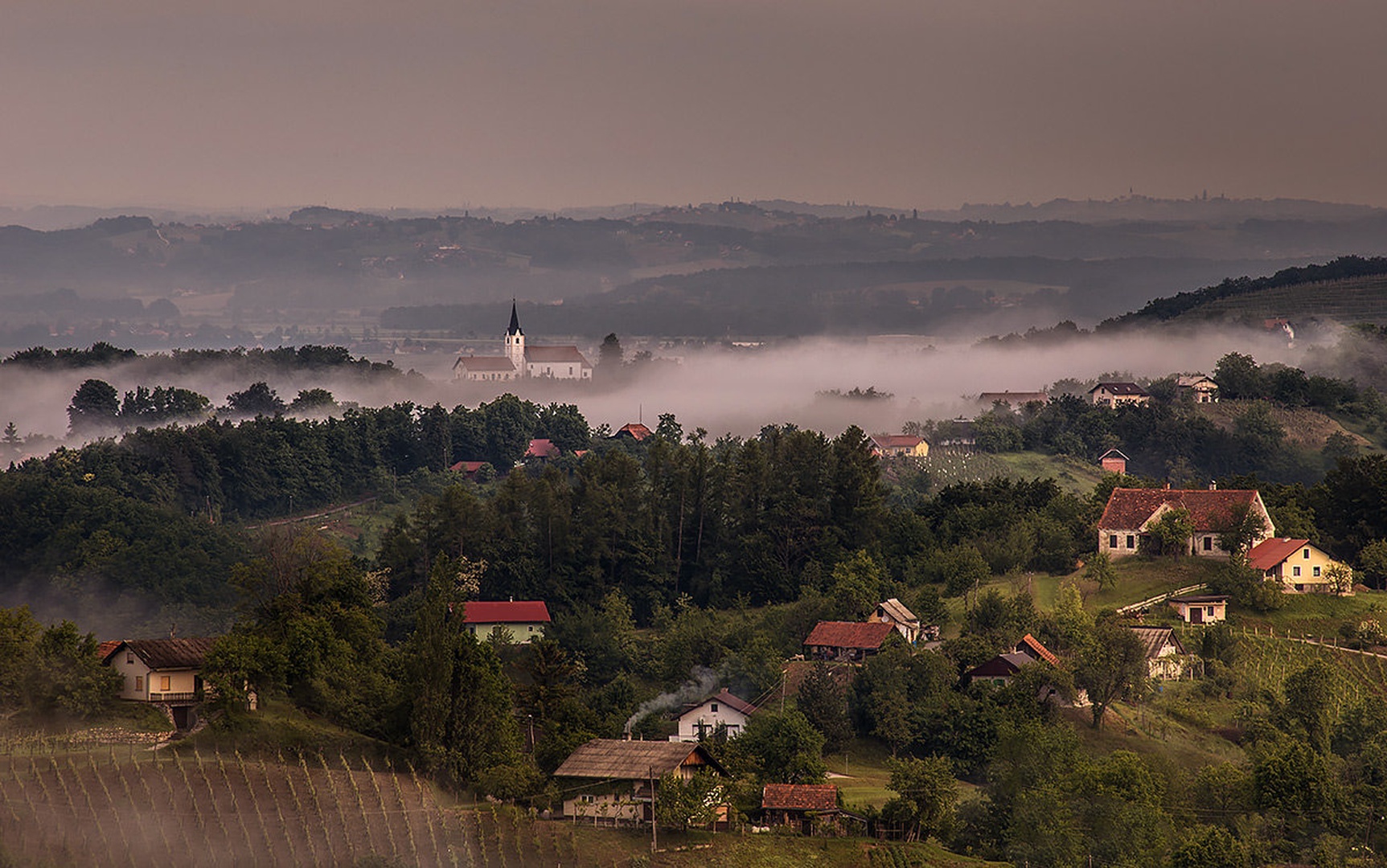 V objemu megle... by Danijel Turnšek