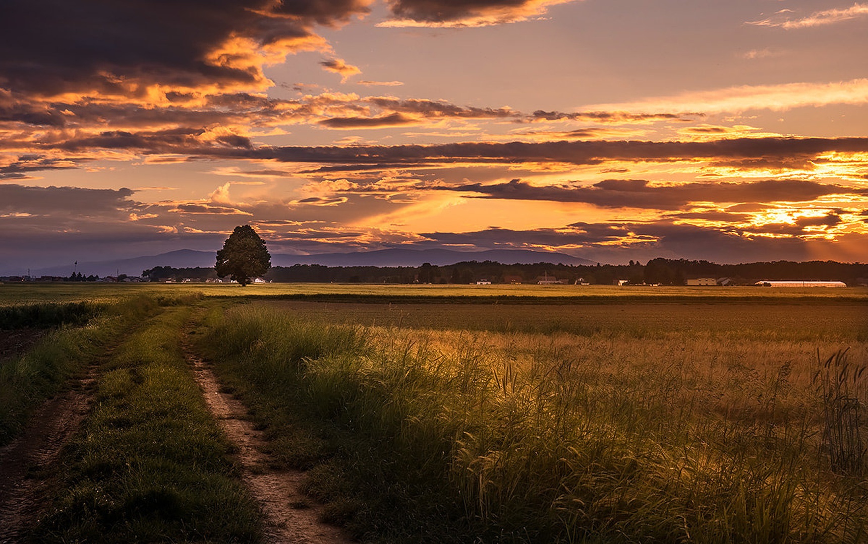 Path... by Danijel Turnšek