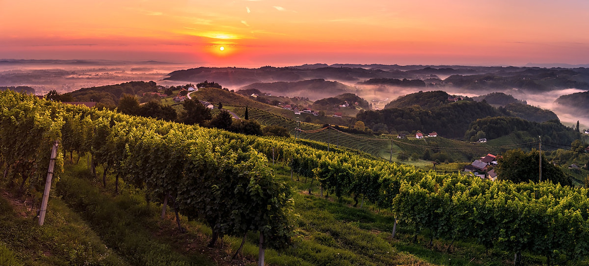 Morning view by Danijel Turnšek